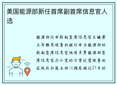 美国能源部新任首席副首席信息官人选 