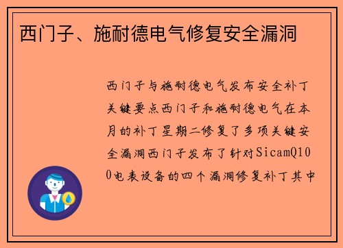 西门子、施耐德电气修复安全漏洞 