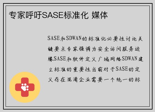 专家呼吁SASE标准化 媒体